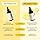 COSRX - The Vitamin C 23 Serum .(Contact for wholesale) Major Ingredients: Water, Ascorbic Acid, Propanediol, Dimethicone, Tromethamine, Panthenol, 3-O-Ethyl Ascorbic Acid, Squalane, Caffeine, Sodium Chloride, Sodium Hyaluronate, Disodium EDTA, Sodium Sulfite, Glutathione, Adenosine, Gardenia Florida Fruit Extract, Dextrin, Acetyl Glucosamine, Allantoin, Tocotrienols, Tocopherol, Elaeis Guineensis (Palm) Oil, Niacinamide, Butylene Glycol, Arginine, Alcohol Denat., Pentylene Gylcol, Glycyrrhiza Glabra (Licorice) Root Extract, Tocopherol, Carthamus Tinctorius (Safflower) Seed Oil, Helianthus Annuus (Sunflower) Seed Oil, Camellia Japonica Seed Oil, Methyl Trimethicone, Helianthus Annuus (Sunflower) Seed Oil, Daucus Carota Sativa (Carrot) Root Extract, Beta-Carotene, TocopherolMore Ingredients subject to change at manufacturer's discretion. For the most complete and up-to-date list of ingredients, please refer to product packaging.